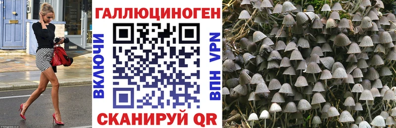 Псилоцибиновые грибы Psilocybe  МЕГА зеркало  Мосальск 